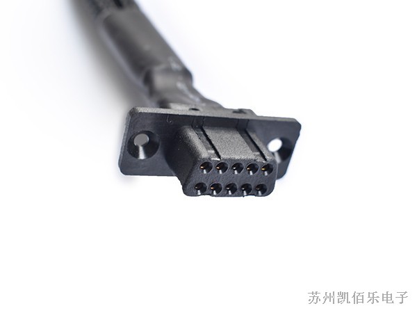 10芯母頭線束