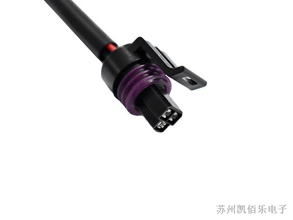德爾福線束